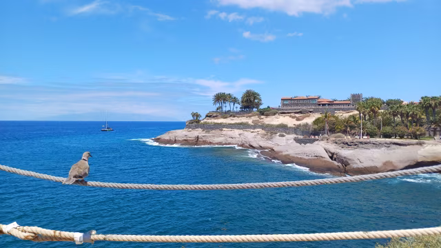 elDuqueBeach
