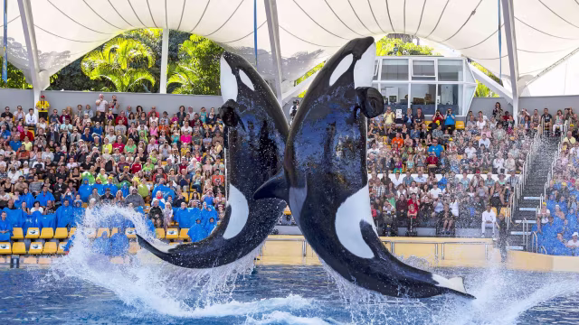 loroParque